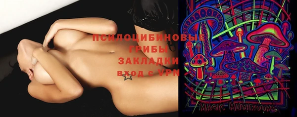 стаф Алексин