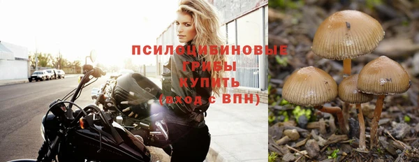 стаф Армянск